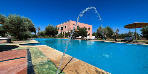 Ontdek Marrakech: 8 dagen logeren in een guest house voor €429